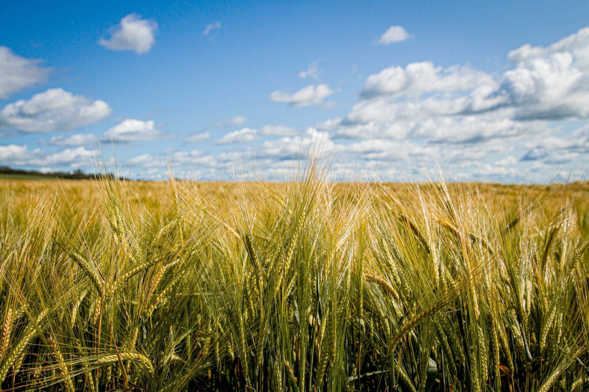 How to schedule your visit this Open Farm Days Alberta Open Farm Days