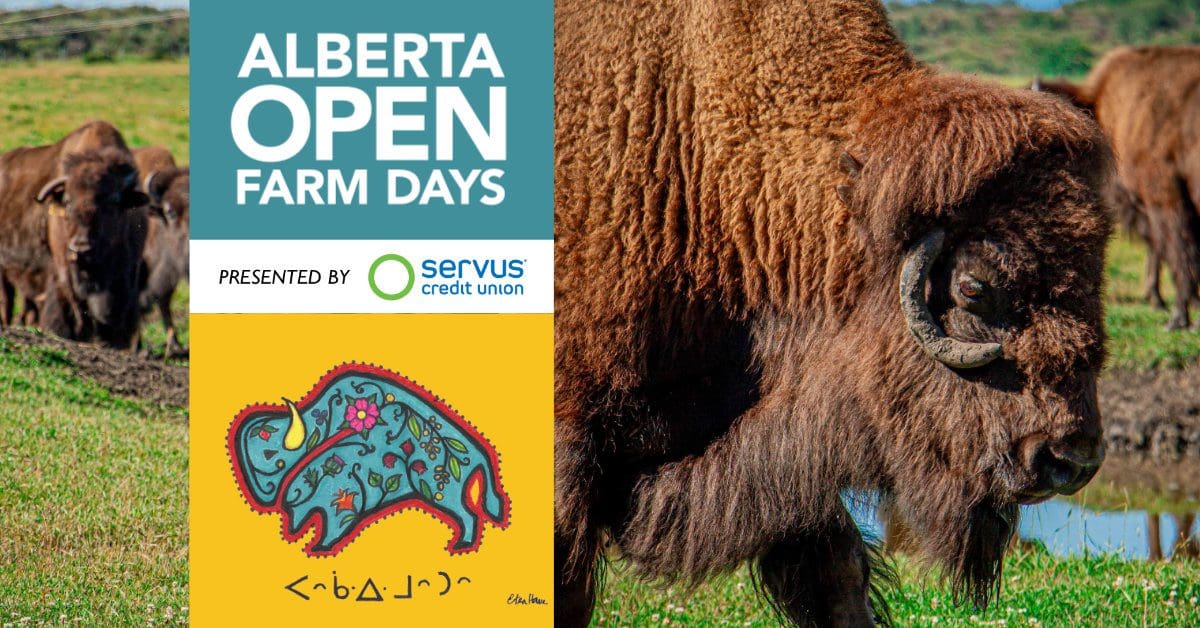 Alberta Open Farm Days Farm Tours, Culinary Experiences