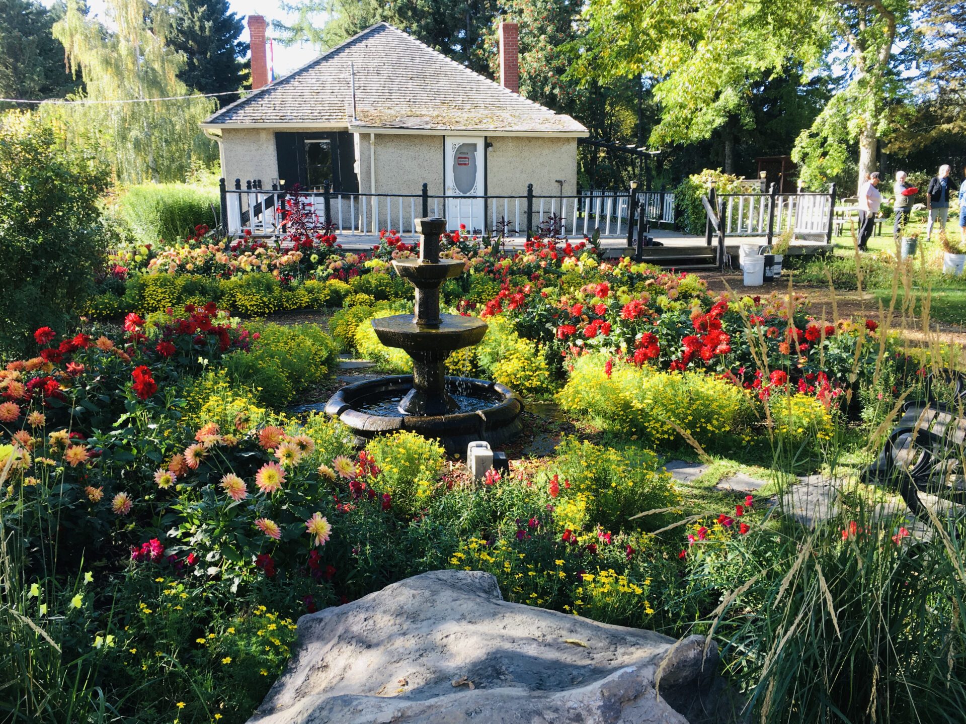 Featured image for “Celebrating Kneehill County & Area at Trochu Arboretum & Gardens”