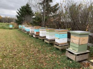 Christy Creek Honey Hives