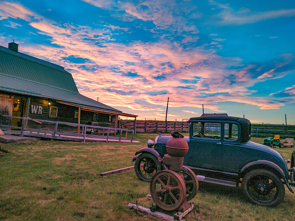 alberta open farm days barn at sunset