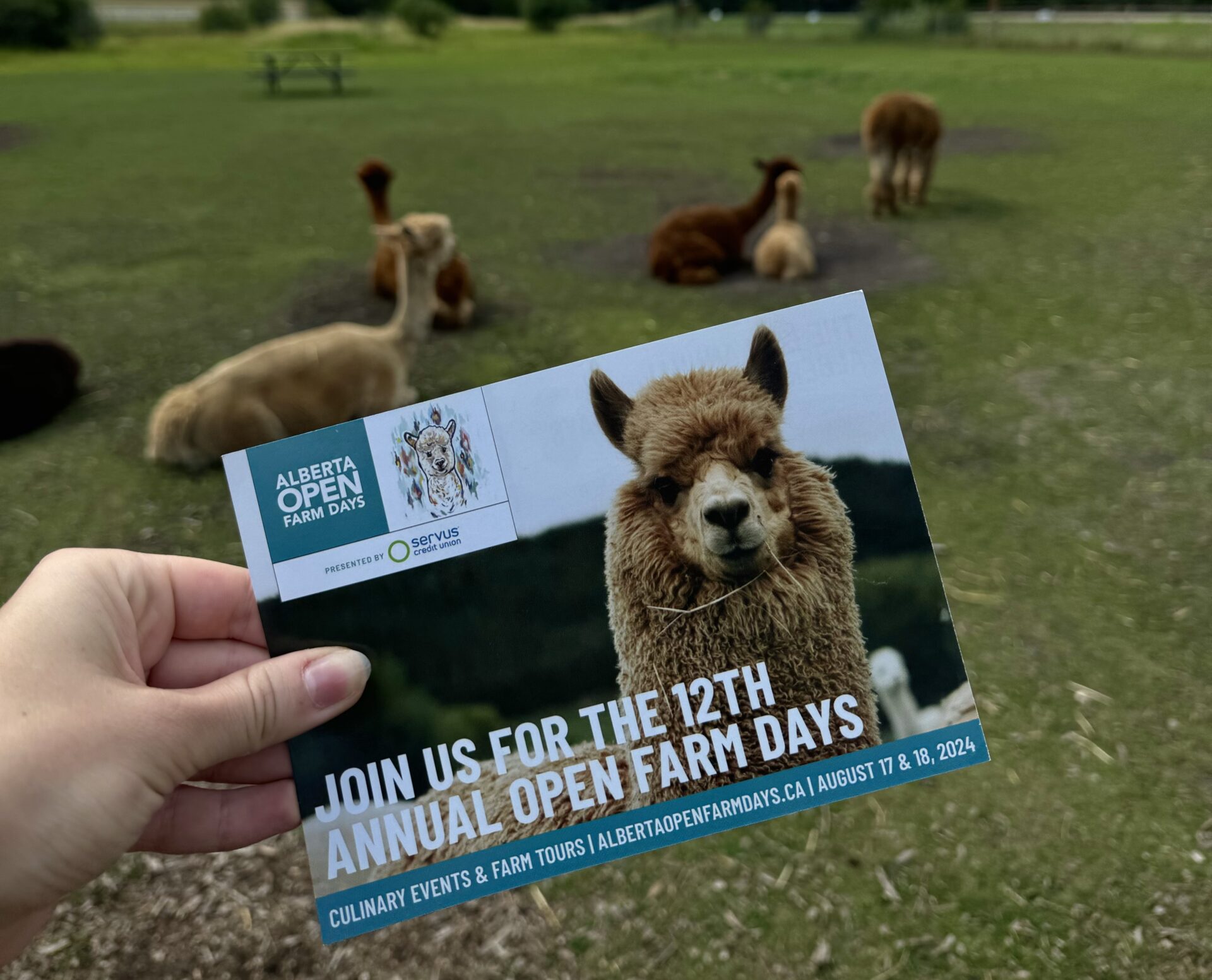 Alberta Open Farm Days save the date