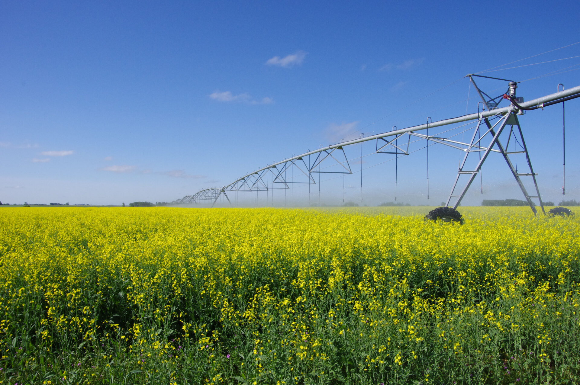 Pivot Irrigation