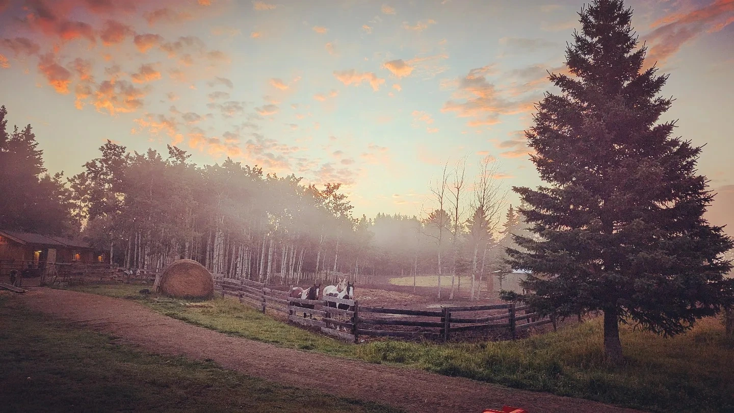 Featured image for “Every Drop Matters: How Providence Lane Homestead Protects Their Wetlands”