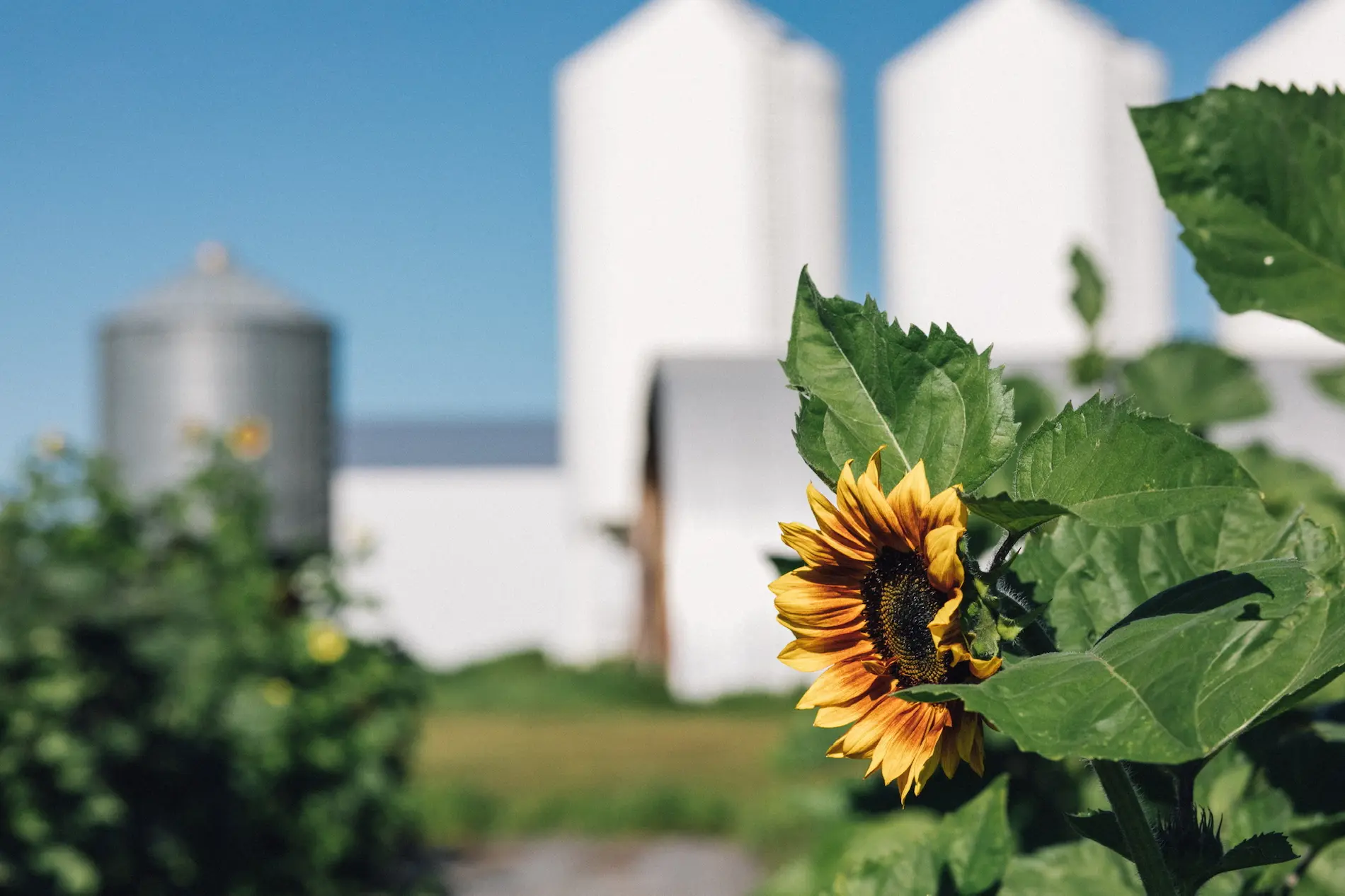 Featured image for “Financial with Servus Credit Union – Mar. 23 – OFD Training Registration”