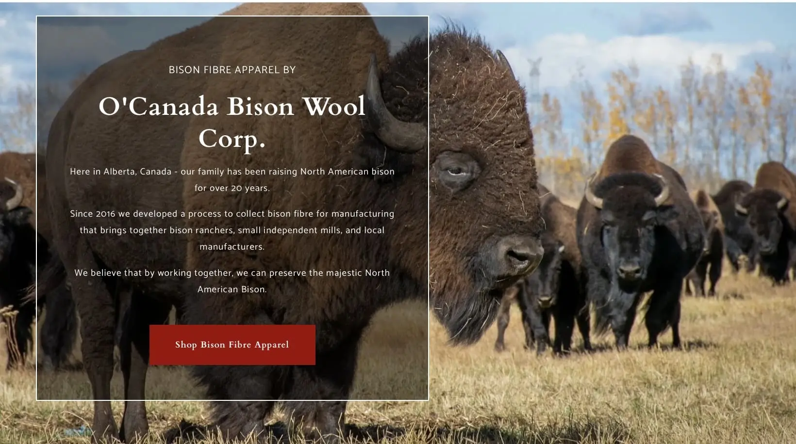 Featured image for “O’Canada Bison Wool Corp.”