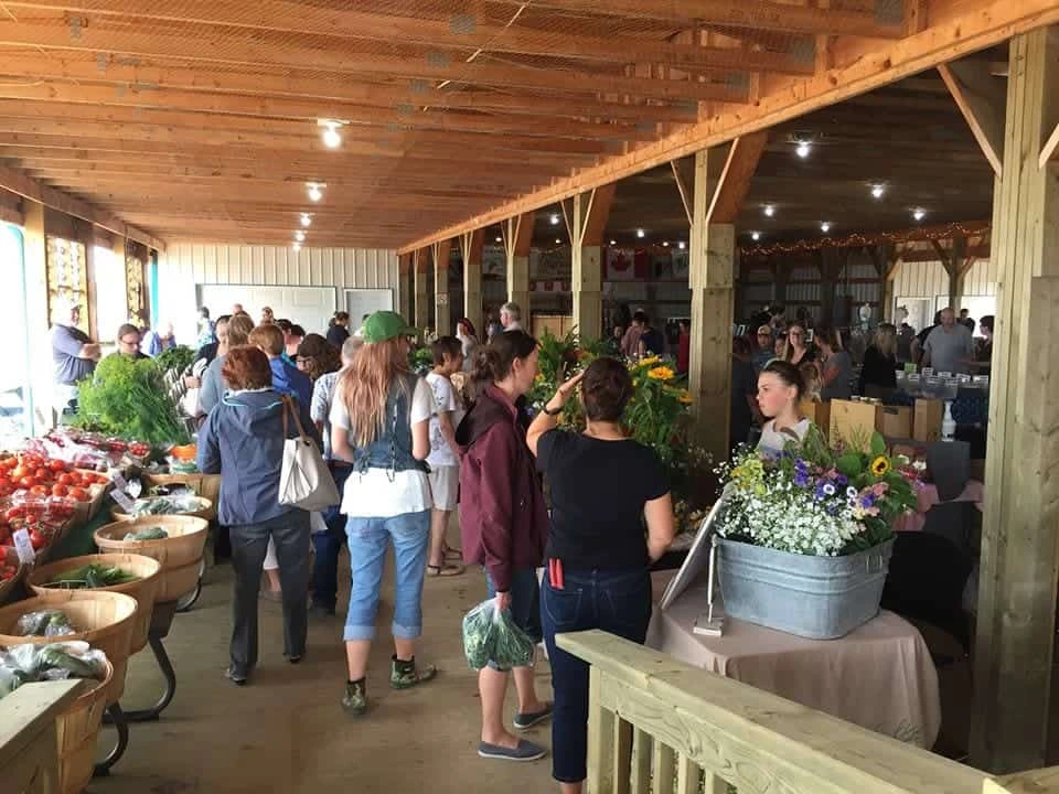 Featured Image for “Examples of How to Participate as an Association or Community”