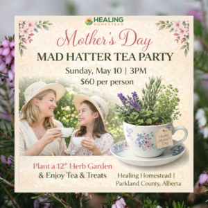 Tea cup herb garden class at healing Homestead Store