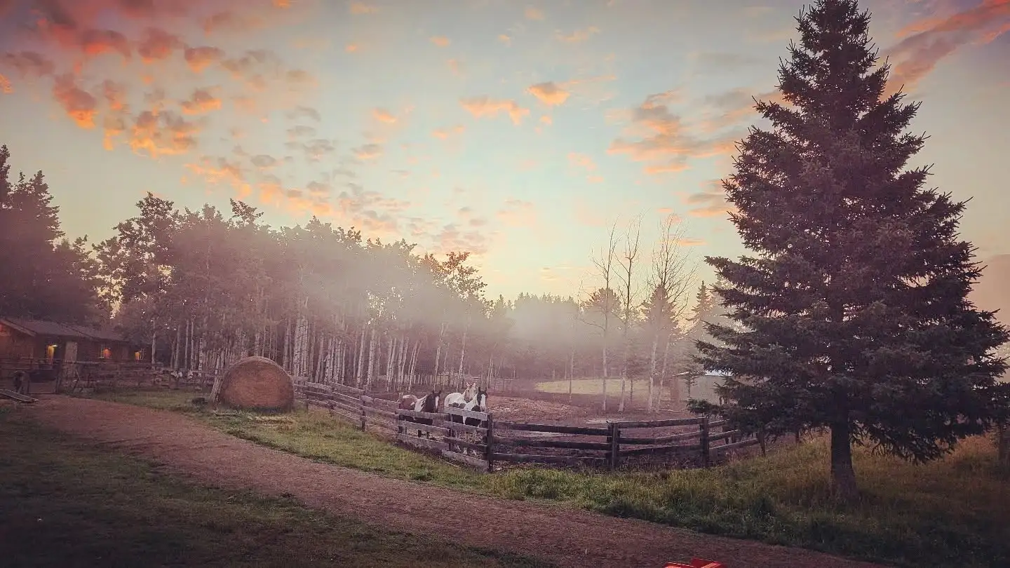 Featured image for “The Grassland Is a Patient Teacher for Providence Lane Homestead”