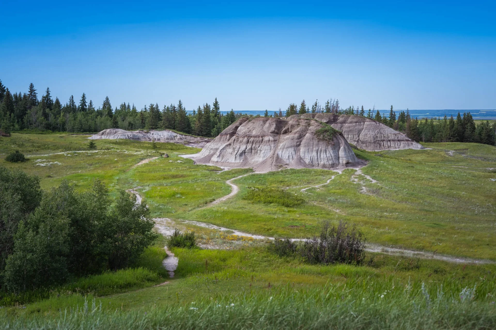 Featured Image for “The North is Calling: An Overnight Guide to Exploring Agritourism and Open Farm Days”